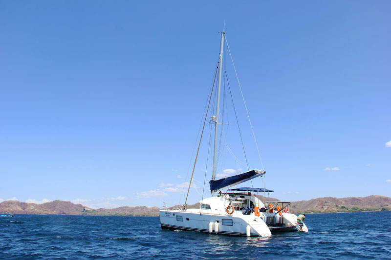  Catamaran Sailing Diving 