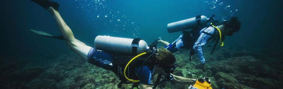 Papagayop Diving Tours