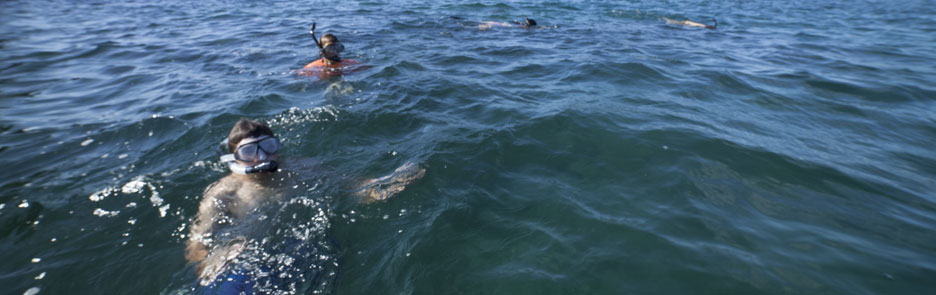 Snorkeling