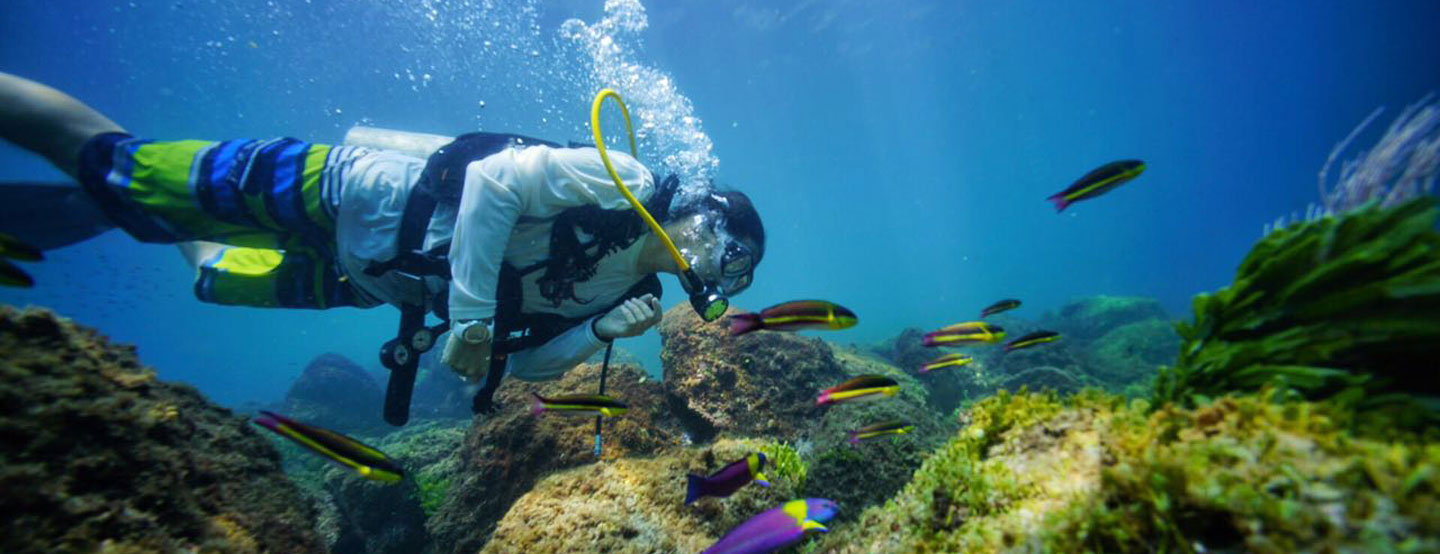 Scuba Diving Papagayo Guanacaste