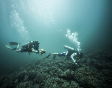 Catalina Islands Diving