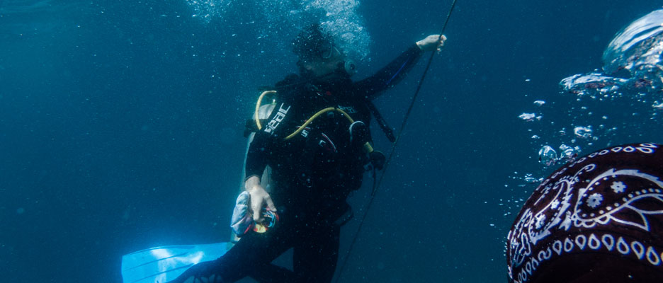 Diving Papagayo Costa Rica